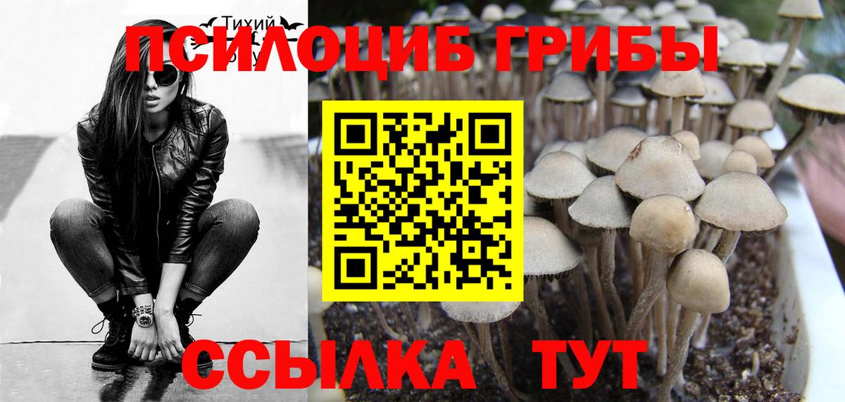 Галлюциногенные грибы мицелий  Галлюциногенные грибы прущие грибы  Минеральные Воды  Вход с VPN 